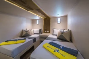 Lower Deck Standard