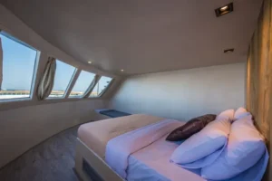 Upper Deck Master