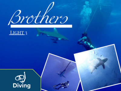 Brothers light 3