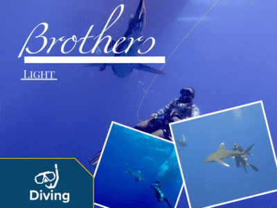 Brothers light Brothers light
