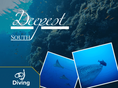Deepest South