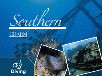 Southern Charm