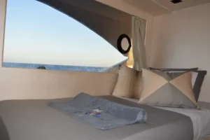 Upper Deck Standard Plus