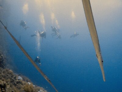 PADI Advanced Open Water