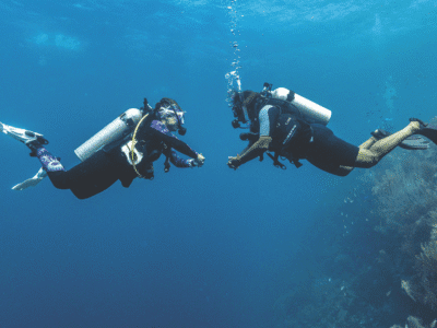 Peak Performance Buoyancy PADI