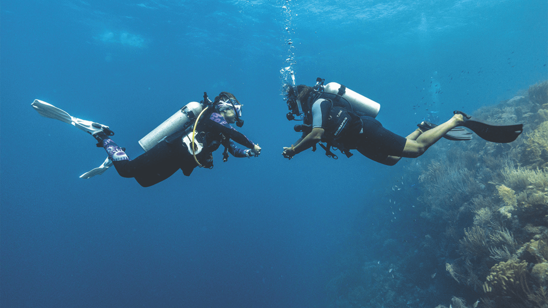 Peak Performance Buoyancy PADI